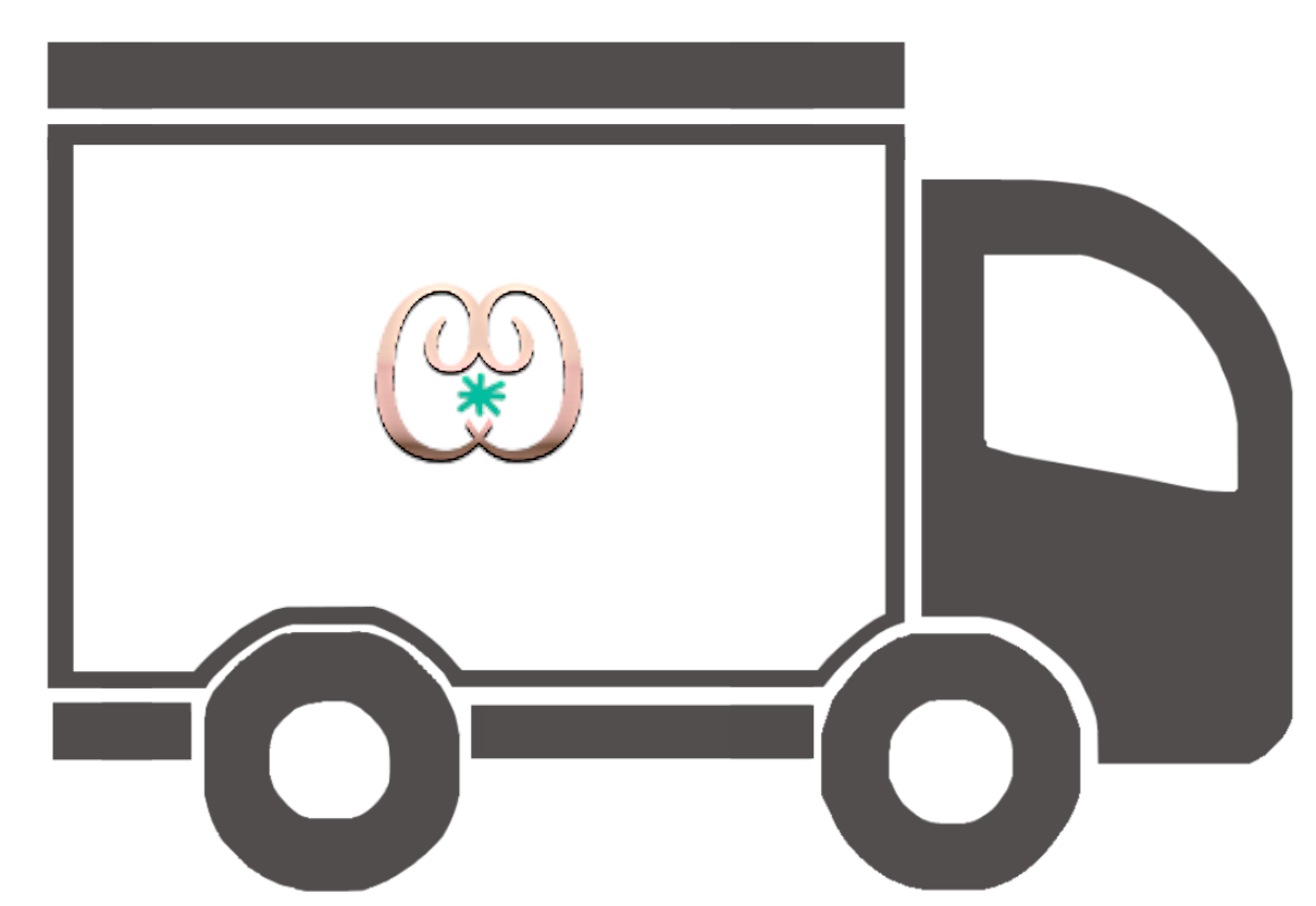 Pictogramme d'un camion informant sur la livraison offerte dès 50€ d'achat sur le site Chou de Chic
